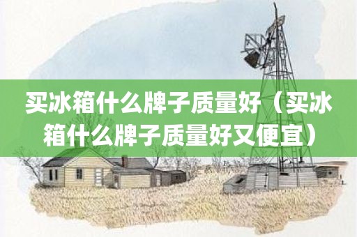买冰箱什么牌子质量好（买冰箱什么牌子质量好又便宜）