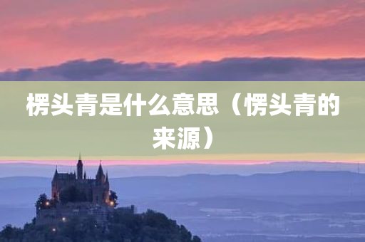 楞头青是什么意思（愣头青的来源）