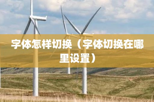 字体怎样切换（字体切换在哪里设置）