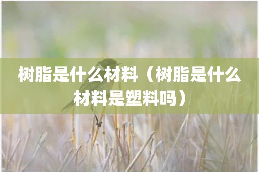 树脂是什么材料（树脂是什么材料是塑料吗）