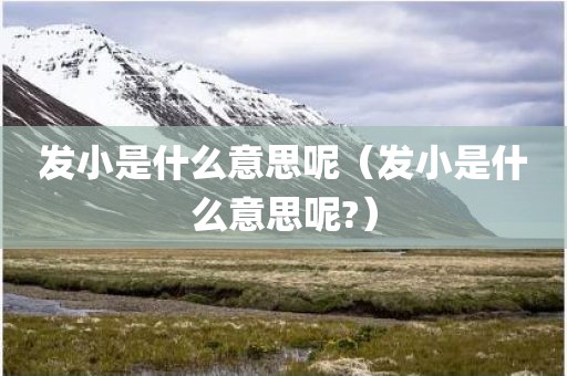 发小是什么意思呢（发小是什么意思呢?）