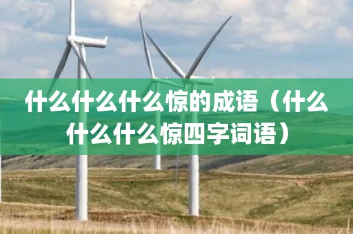 什么什么什么惊的成语（什么什么什么惊四字词语）