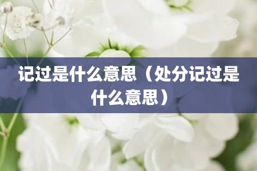 记过是什么意思（处分记过是什么意思）