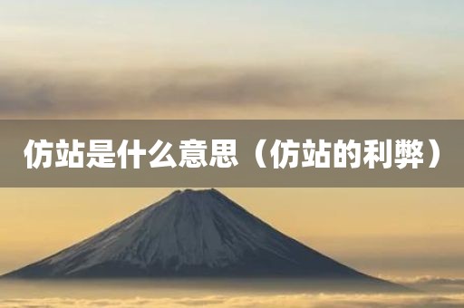仿站是什么意思（仿站的利弊）