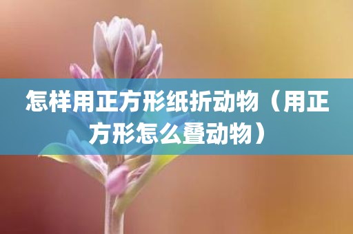 怎样用正方形纸折动物（用正方形怎么叠动物）