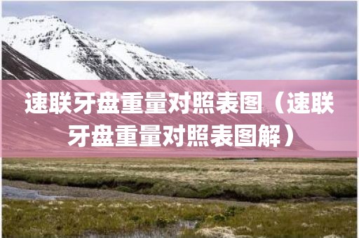 速联牙盘重量对照表图（速联牙盘重量对照表图解）