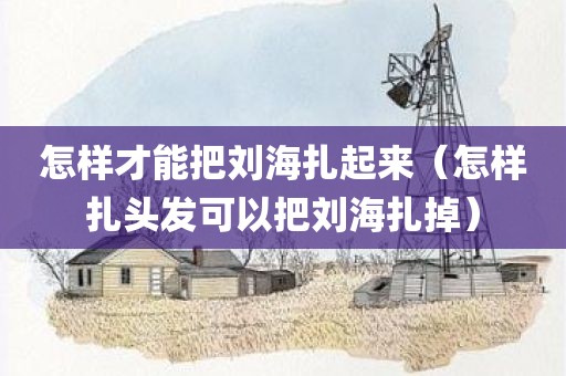 怎样才能把刘海扎起来（怎样扎头发可以把刘海扎掉）