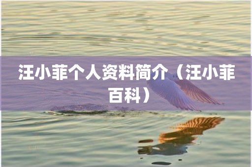 汪小菲个人资料简介(汪小菲 百科) 汪小菲个人资料简介(汪小菲 百科)