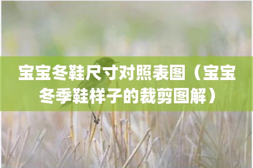 宝宝冬鞋尺寸对照表图（宝宝冬季鞋样子的裁剪图解）