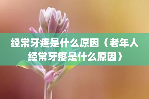 经常牙疼是什么原因（老年人经常牙疼是什么原因）