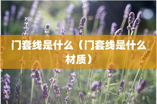 门套线是什么（门套线是什么材质）