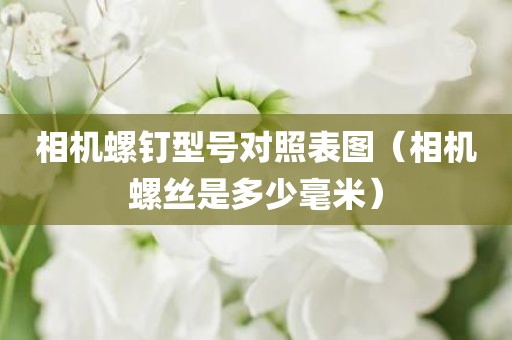 相机螺钉型号对照表图（相机螺丝是多少毫米）