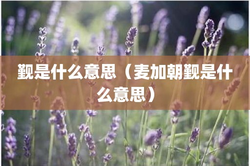 觐是什么意思（麦加朝觐是什么意思）