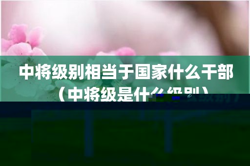中将级别相当于国家什么干部（中将级是什么级别）