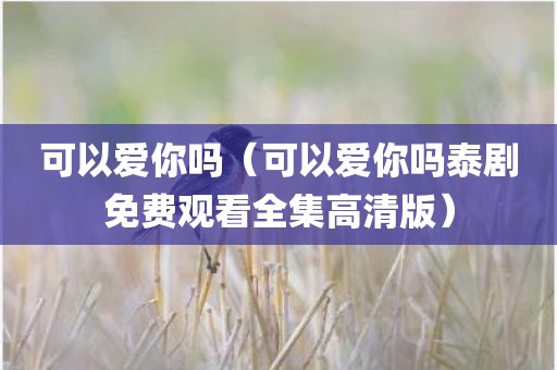 可以爱你吗(可以爱你吗泰剧免费观看全集高清版)