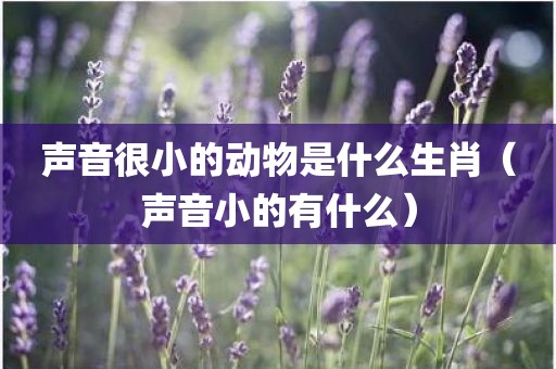 声音很小的动物是什么生肖（声音小的有什么）