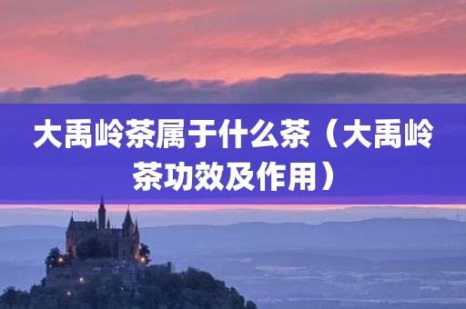 大禹岭茶属于什么茶（大禹岭茶功效及作用）