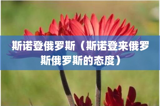 斯诺登俄罗斯（斯诺登来俄罗斯俄罗斯的态度）