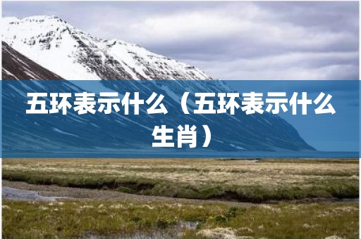 五环表示什么（五环表示什么生肖）