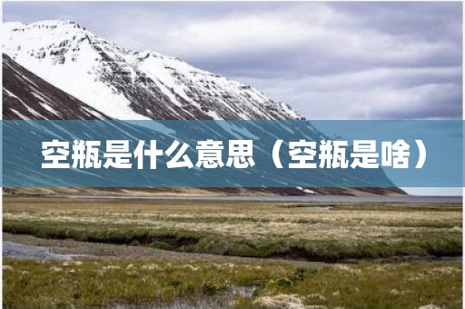 空瓶是什么意思(空瓶是啥)