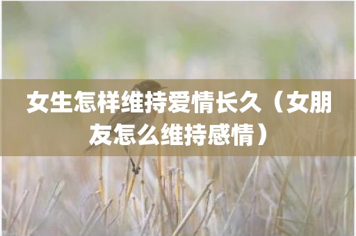 女生怎样维持爱情长久（女朋友怎么维持感情）