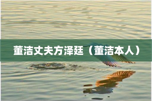 董洁丈夫方泽廷(董洁本人) 董洁丈夫方泽廷(董洁本人)