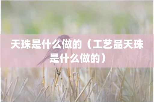 天珠是什么做的（工艺品天珠是什么做的）