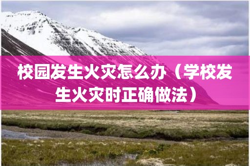校园发生火灾怎么办（学校发生火灾时正确做法）