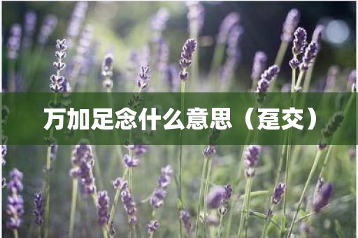 万加足念什么意思（趸交）