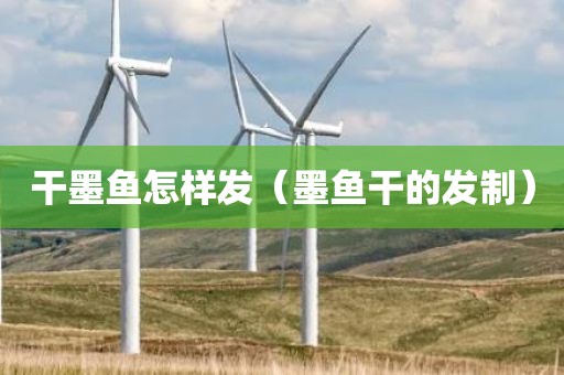 干墨鱼怎样发（墨鱼干的发制）