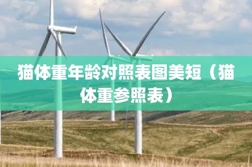 猫体重年龄对照表图美短（猫体重参照表）