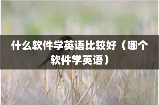 什么软件学英语比较好（哪个软件学英语）