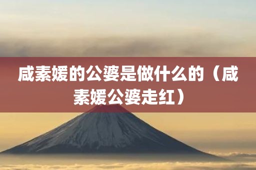 咸素媛的公婆是做什么的(咸素媛公婆走红)