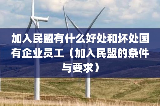 加入民盟有什么好处和坏处国有企业员工（加入民盟的条件与要求）