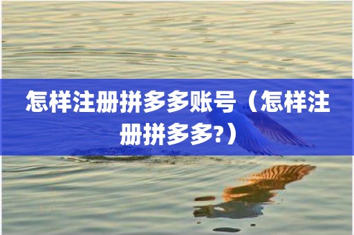 怎样注册拼多多账号(怎样注册拼多多?) 怎样注册拼多多账号(怎样注册拼多多?)