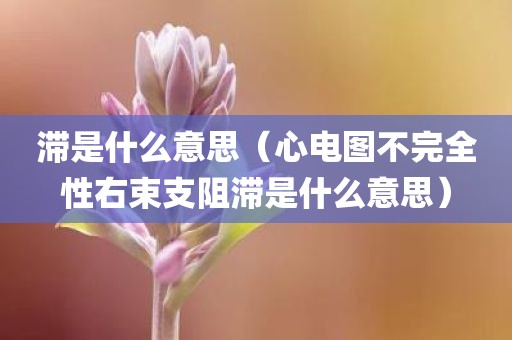 滞是什么意思（心电图不完全性右束支阻滞是什么意思）