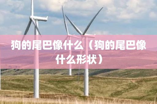狗的尾巴像什么（狗的尾巴像什么形状）