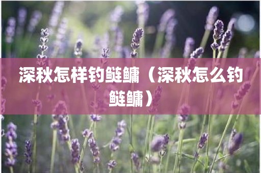 深秋怎样钓鲢鳙（深秋怎么钓鲢鳙）