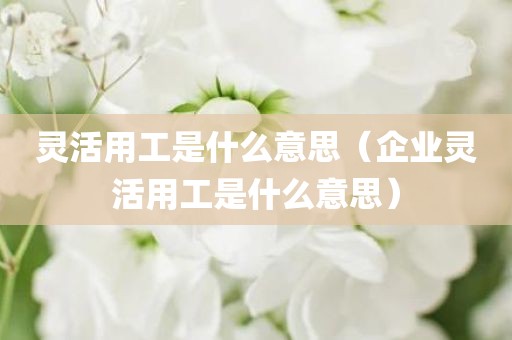 灵活用工是什么意思（企业灵活用工是什么意思）