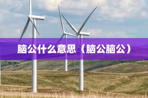 脑公什么意思（脑公脑公）