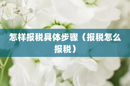 怎样报税具体步骤（报税怎么报税）