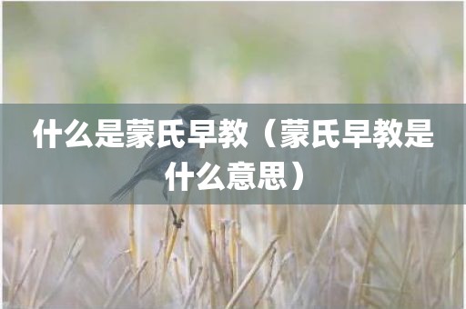 什么是蒙氏早教（蒙氏早教是什么意思）