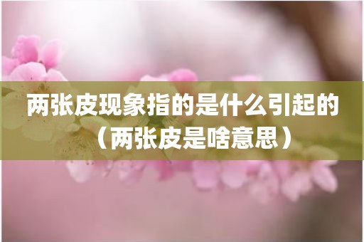 两张皮现象指的是什么引起的（两张皮是啥意思）