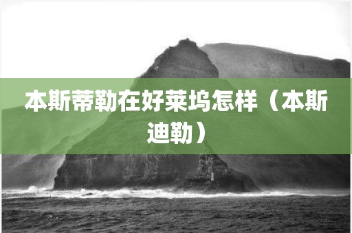 本斯蒂勒在好莱坞怎样（本斯迪勒）