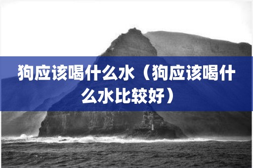 狗应该喝什么水(狗应该喝什么水比较好)