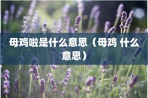 母鸡啦是什么意思（母鸡 什么意思）