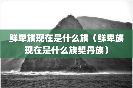 鲜卑族现在是什么族（鲜卑族现在是什么族契丹族）