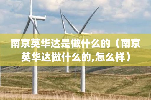南京英华达是做什么的（南京英华达做什么的,怎么样）