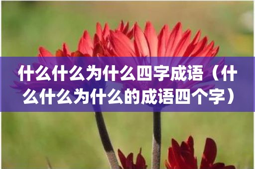 什么什么为什么四字成语（什么什么为什么的成语四个字）
