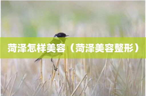 菏泽怎样美容（菏泽美容整形）